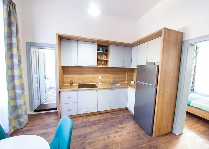 Luxury 1 아파트 클루지나포카